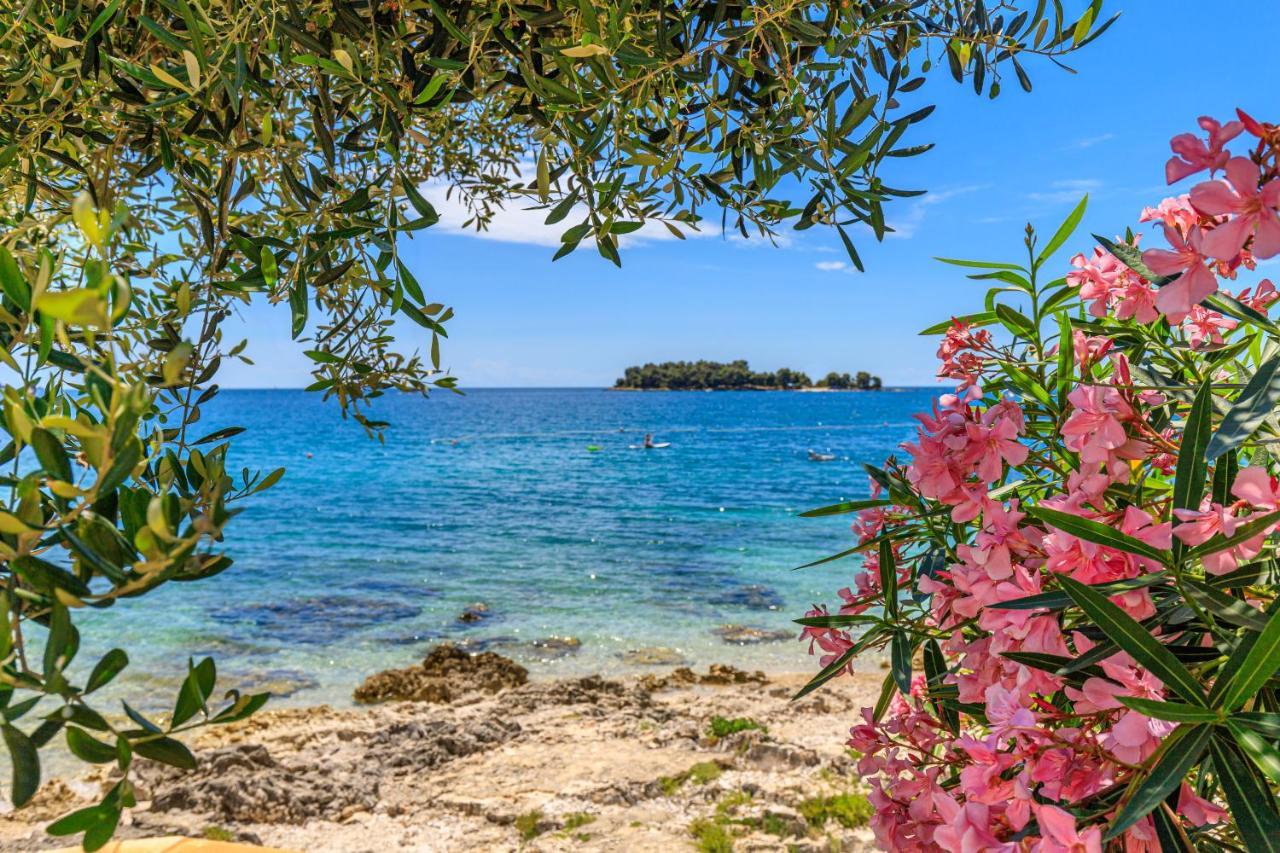Al Mare Apartments Rovinj Ngoại thất bức ảnh